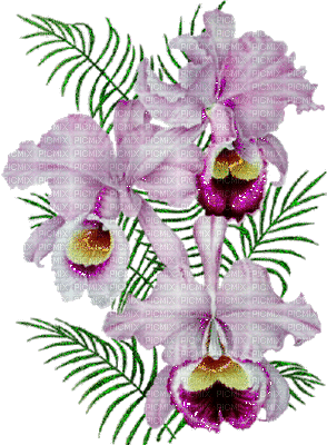 Flowers purple bp - GIF animé gratuit