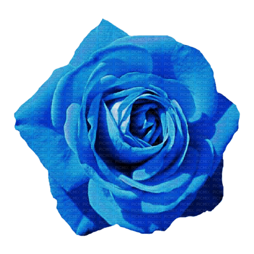 kikkapink deco scrap blue rose flower - zdarma png