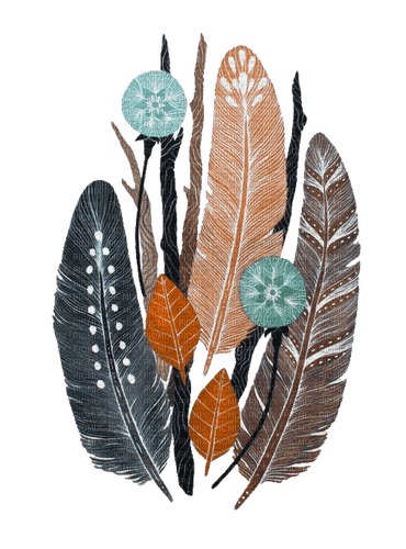 feathers Bb2 - png grátis