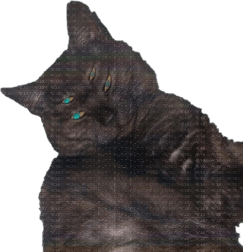 4 eyed cat - png gratuito