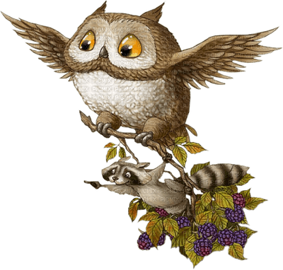 Kaz_Creations Owls Owl - png grátis