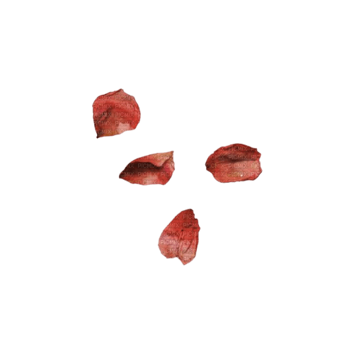 dried rose petals - PNG gratuit