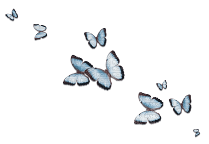soave deco butterfly blue - PNG gratuit