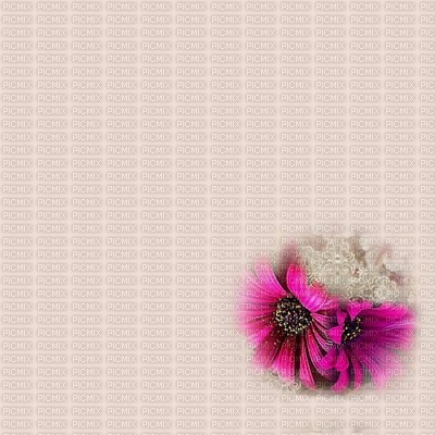 bg-with pink flowers - kostenlos png