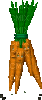 carota - GIF animado gratis