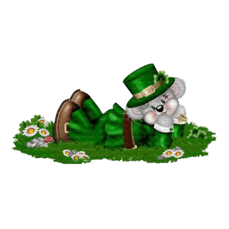 st patrick's day - 無料png