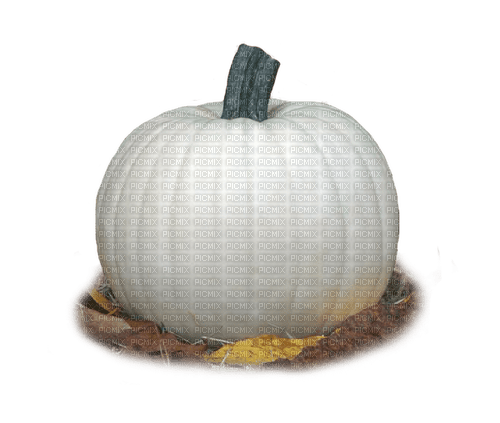 White Pumpkin with leaves-RM - PNG gratuit