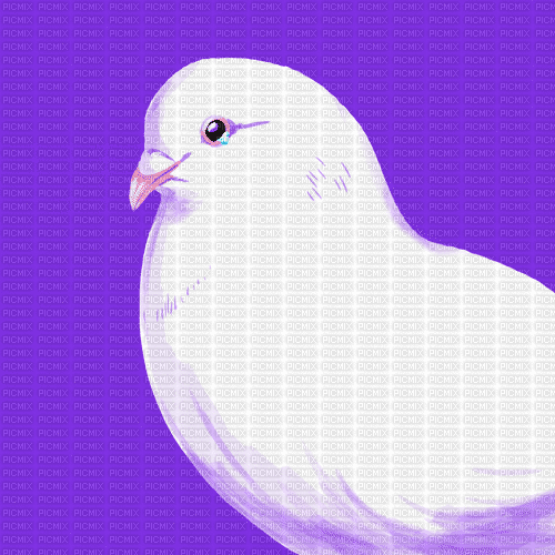 When Doves Cry - GIF animado grátis