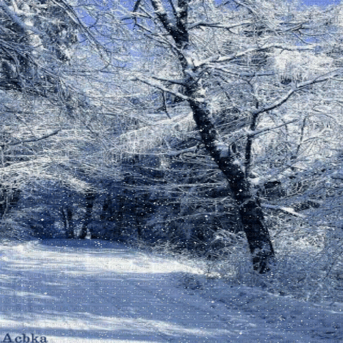 winter  background by nataliplus - GIF animasi gratis