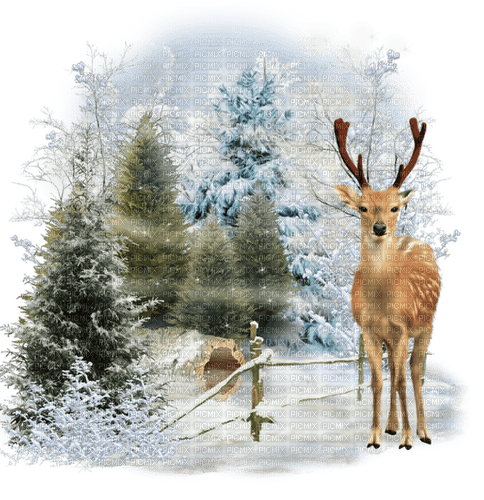 winter deer by nataliplus - png gratuito