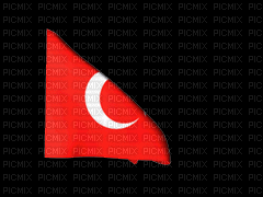 turkish flag - Darmowy animowany GIF