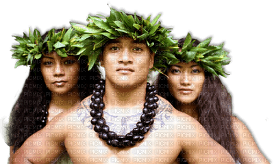 hawaiian bp - PNG gratuit