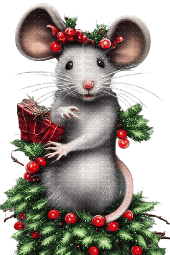 Mouse Christmas - Bogusia - png gratuito