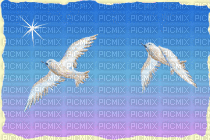 birds in the sky - 無料のアニメーション GIF