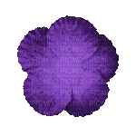 Flower, Flowers, Deco, Decoration, Purple - Jitter.Bug.Girl - Animovaný GIF zadarmo