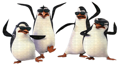 the penguins - png gratis