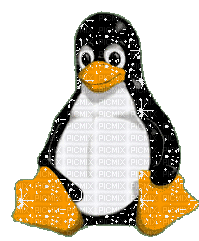 pingouin - GIF animate gratis
