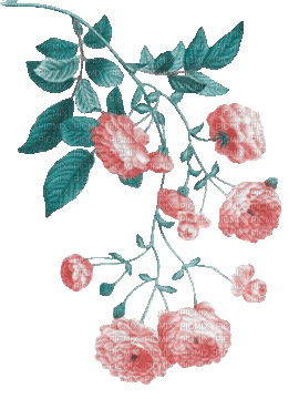 soave deco branch animated flowers rose spring - GIF animado grátis