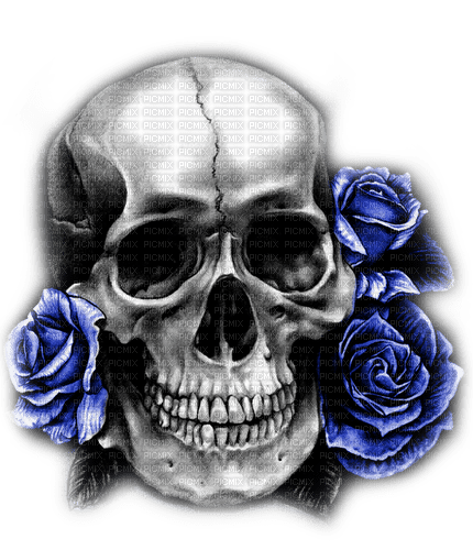 Skull.Roses.Black.White.Blue - By KittyKatLuv65 - Free PNG