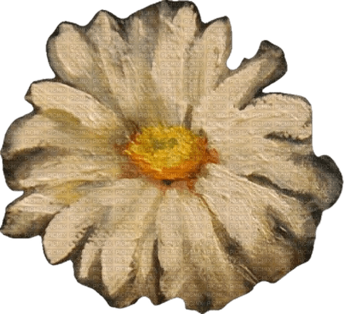 flower painting - PNG gratuit