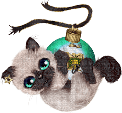 Kaz_Creations Christmas Cats Cat Kitten - gratis png