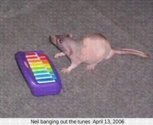 neil banging out the tunes april 13, 2006 - PNG gratuit