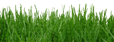 Kaz_Creations Deco Garden Grass - Bezmaksas animēts GIF