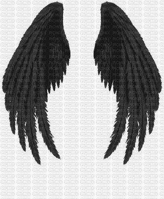 Dark Angel Wings - besplatni png