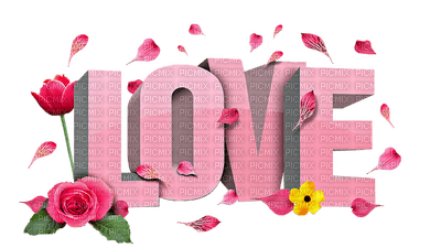 Love rose - PNG gratuit