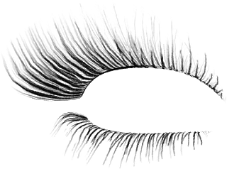 cils - Free PNG