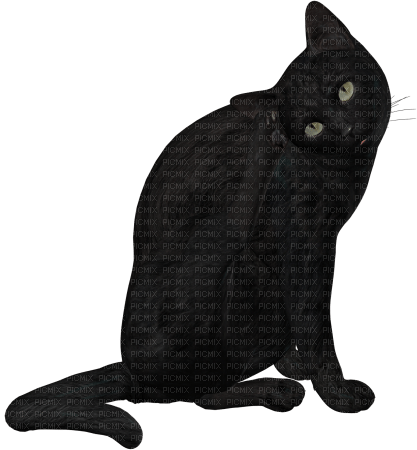 dolceluna black cat - PNG gratuit