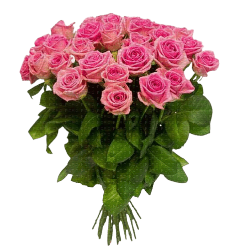 pink roses bouquet - PNG gratuit