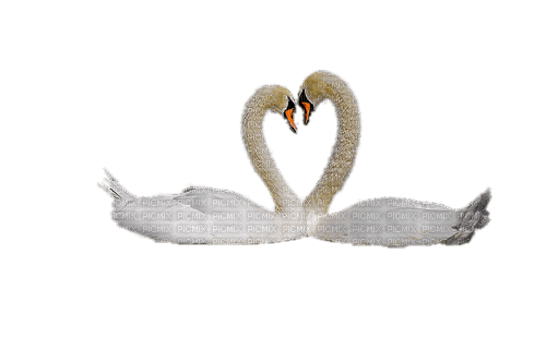 Zizi_Diamond Swan - 免费PNG
