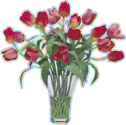 Bouquet of Tulips - GIF animé gratuit