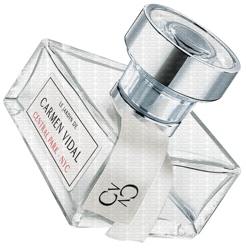 Perfume White Silver Carmen Vidal - Bogusia - PNG gratuit
