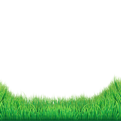 green grass - gratis png