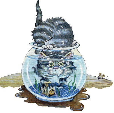 fish bowl bp - Animovaný GIF zadarmo