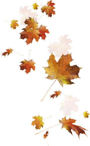 feuille d automne.Cheyenne63 - zadarmo png