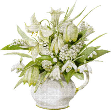 fleur blanche - Darmowy animowany GIF