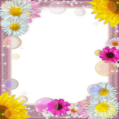 cadre fleur  flower frame - ücretsiz png