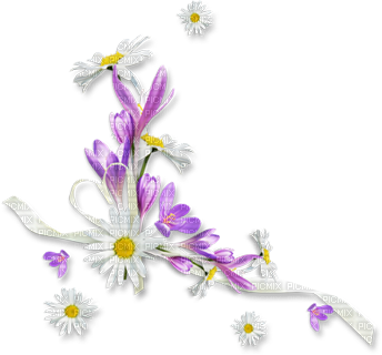 soave deco flowers branch corner spring  daisy - 免费PNG