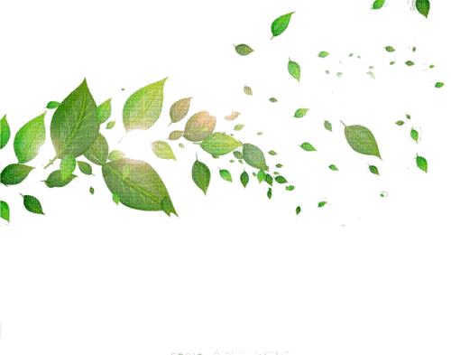 Green Leaves - png gratis