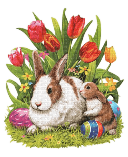 Ostern, Hasen - δωρεάν png