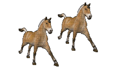horse. horses bp - 無料のアニメーション GIF