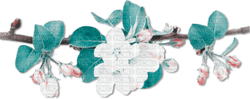 soave deco fruit apple branch flowers spring teal - фрее пнг