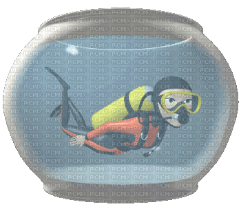 fish bowl bp - GIF animado grátis