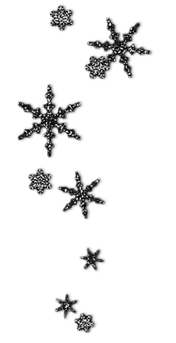 Black Snowflakes - zadarmo png