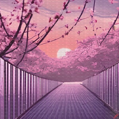 Sakura Sunset Bridge - png grátis