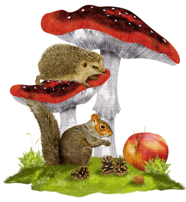 fantasy mushroom bp - bezmaksas png
