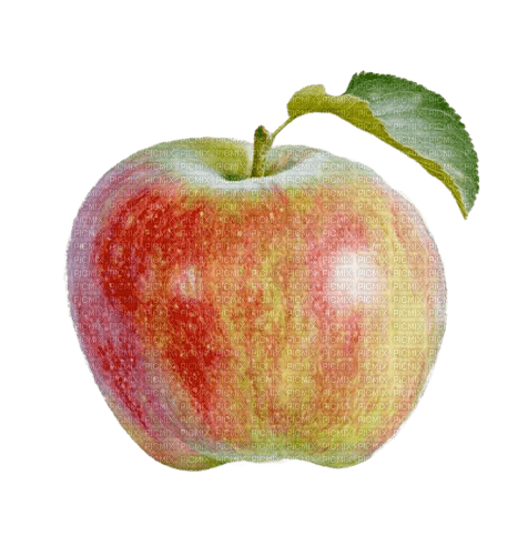Apfel, - PNG gratuit